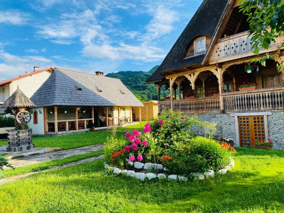Casa Chira Vişeu de Sus Exterior foto