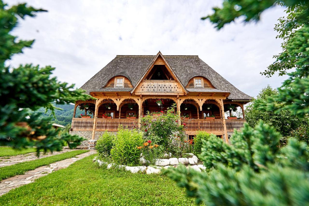 Casa Chira Vişeu de Sus Exterior foto