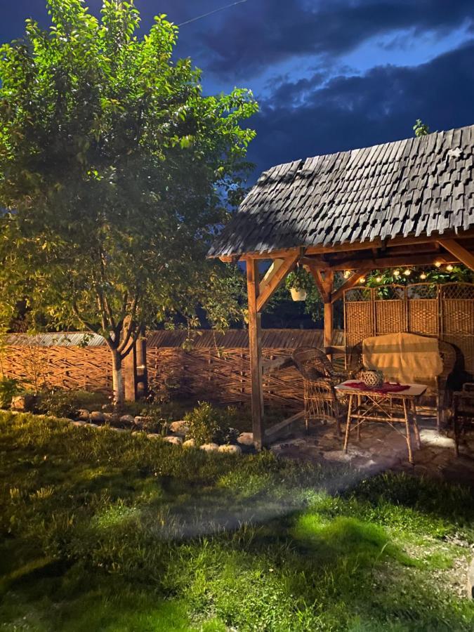 Casa Chira Vişeu de Sus Exterior foto