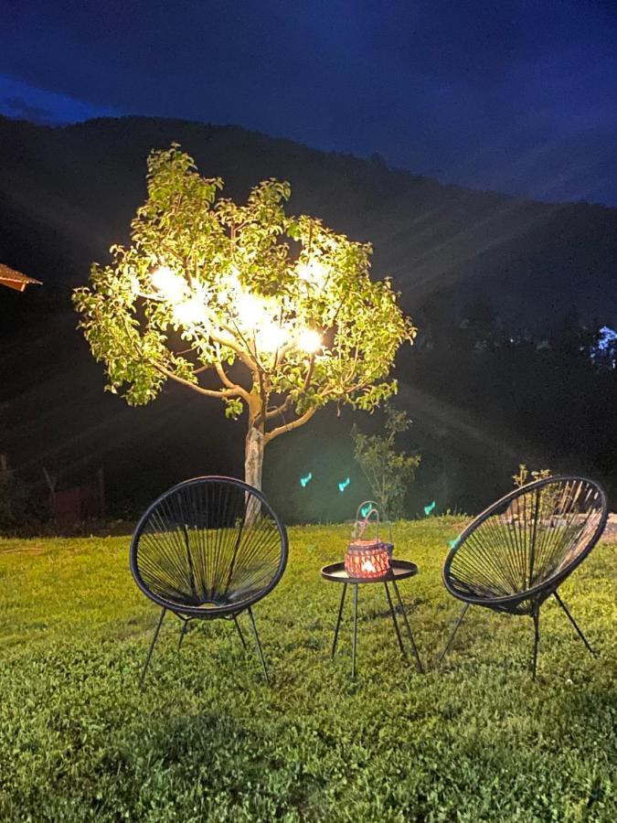Casa Chira Vişeu de Sus Exterior foto