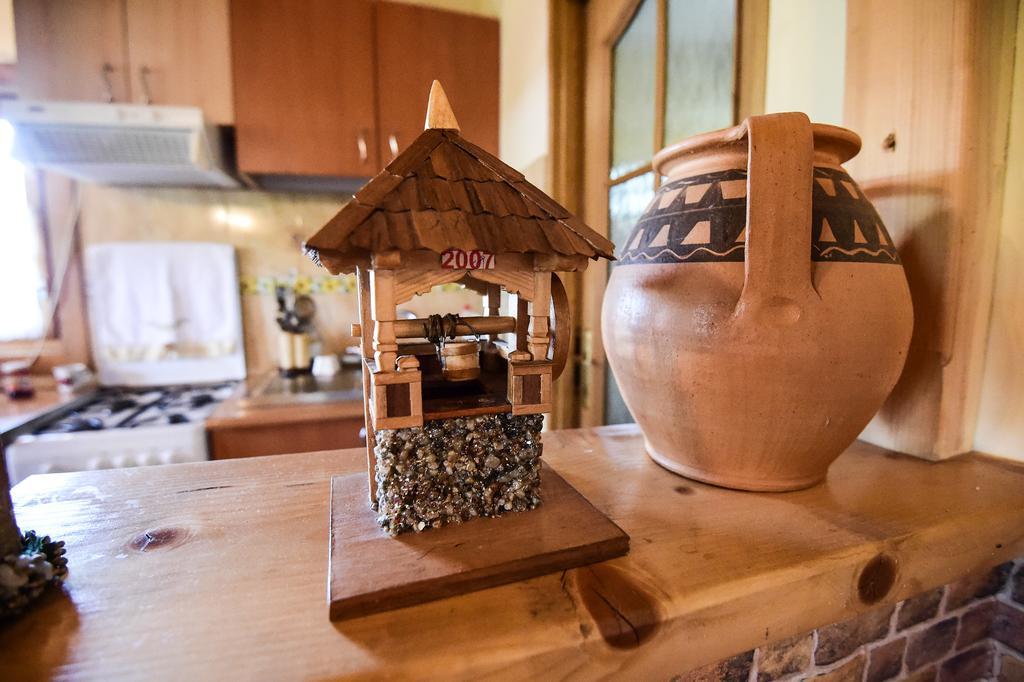 Casa Chira Vişeu de Sus Exterior foto