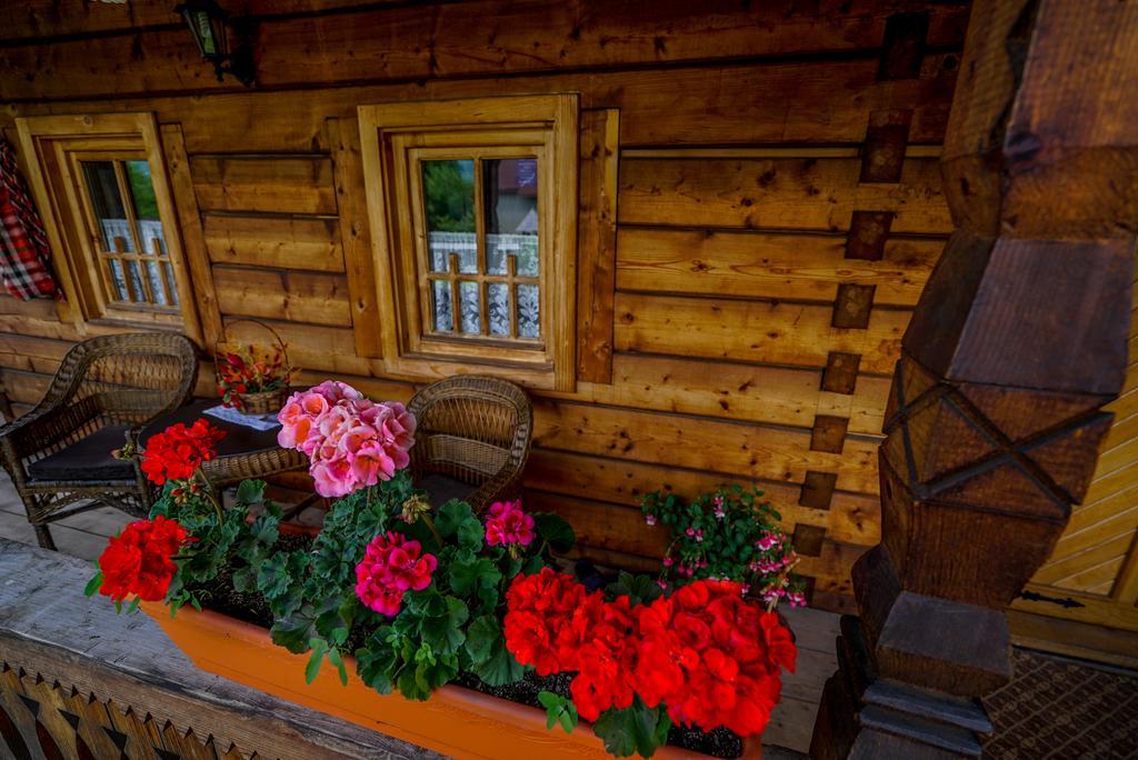 Casa Chira Vişeu de Sus Exterior foto