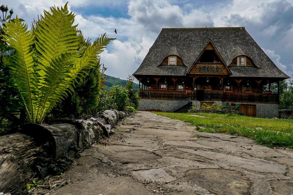 Casa Chira Vişeu de Sus Exterior foto