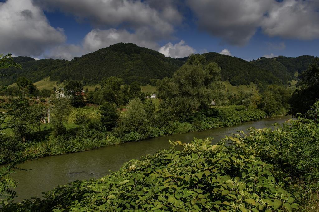 Casa Chira Vişeu de Sus Exterior foto