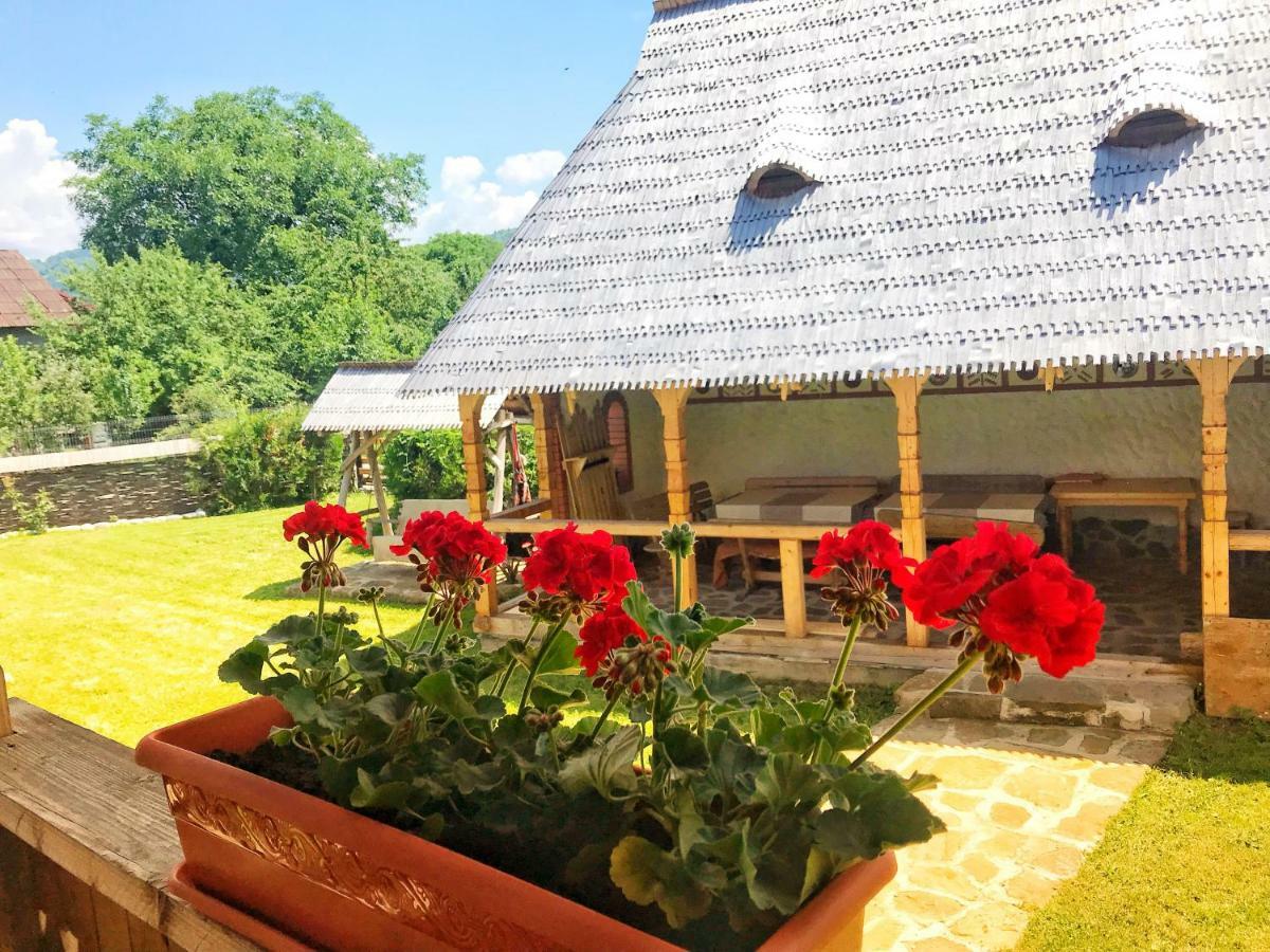Casa Chira Vişeu de Sus Exterior foto